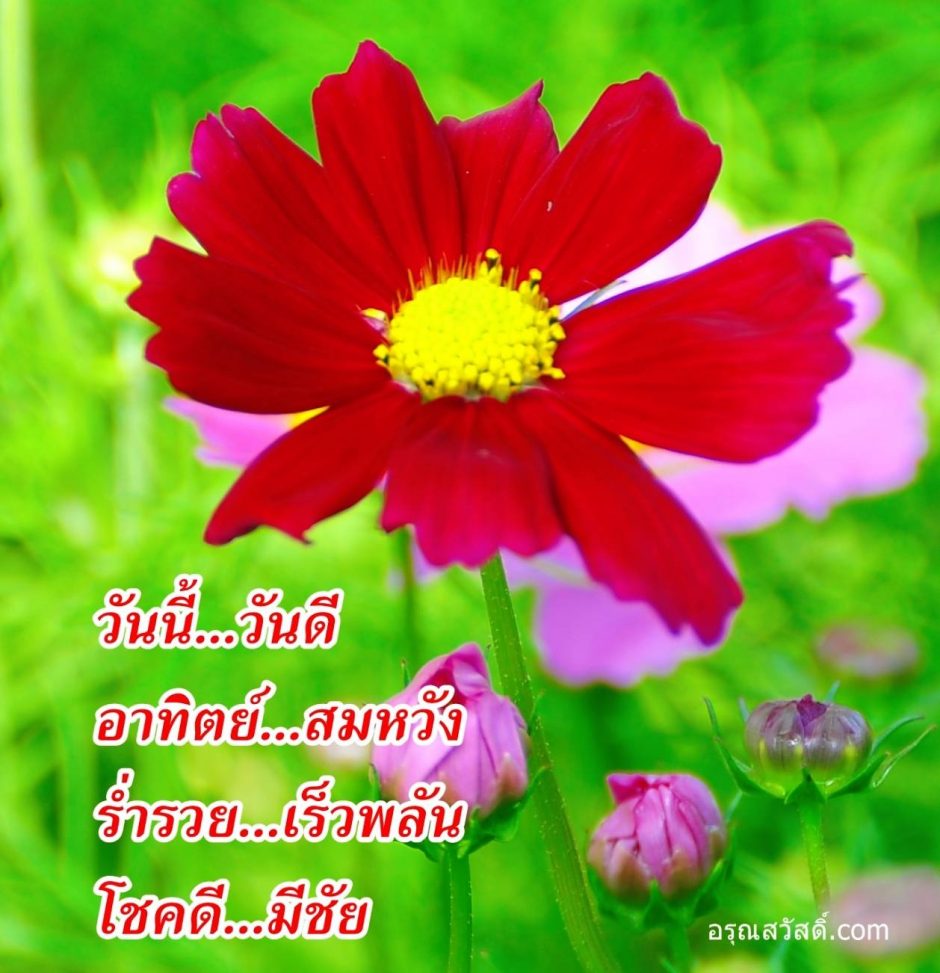 สวัสดีวันทิตย์