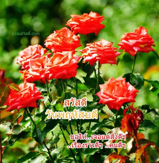 สวัสดีวันพฤหัสบดี