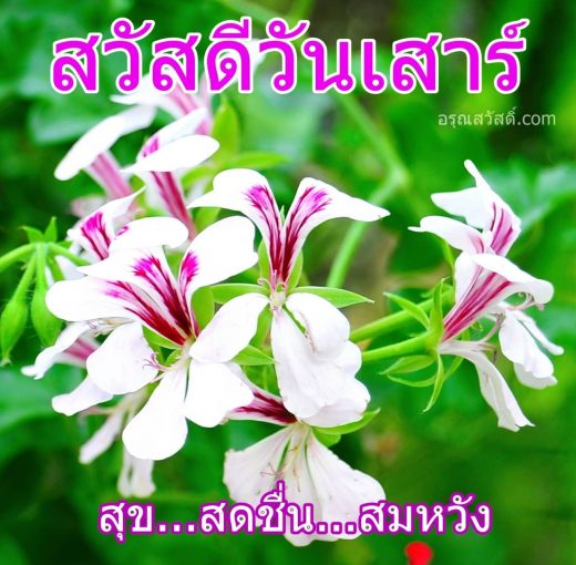 สวัสดีวันเสาร์