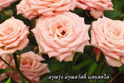 อรุณสวัสดิ์