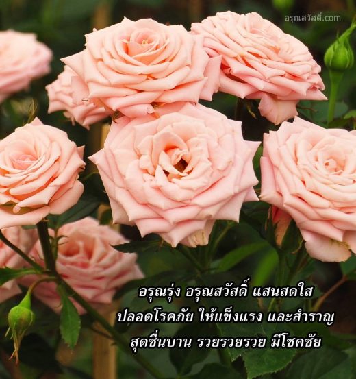 อรุณสวัสดิ์
