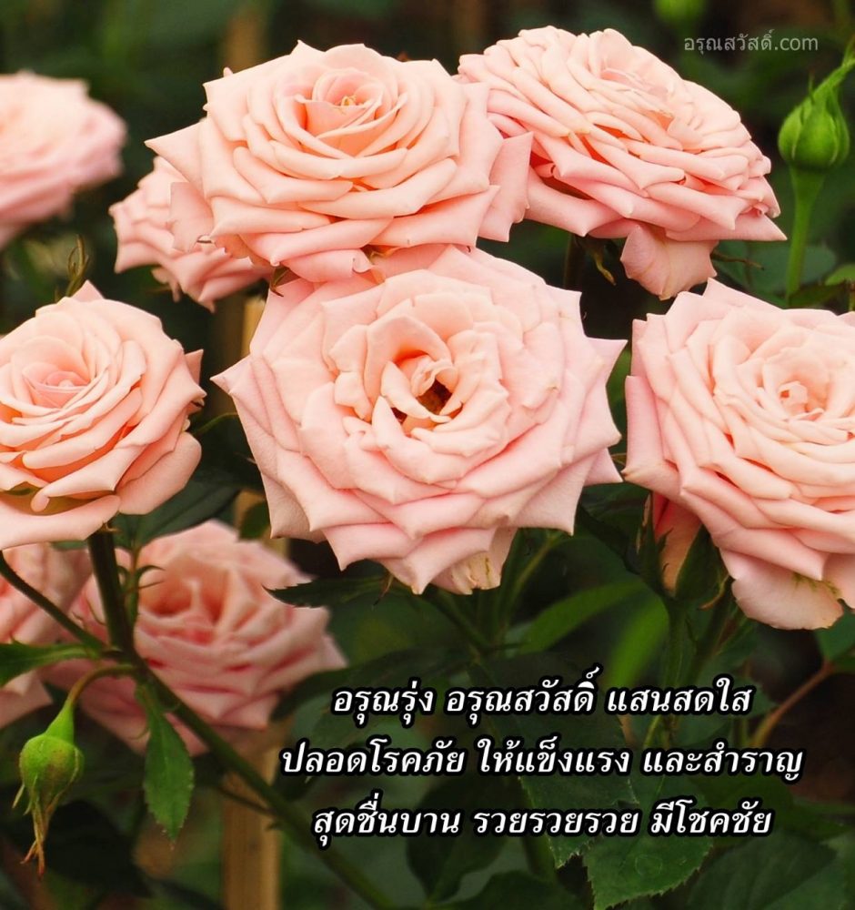 อรุณสวัสดิ์
