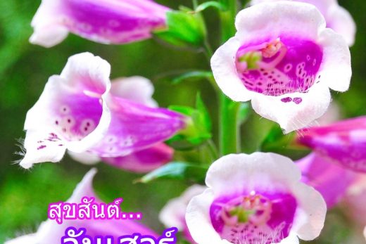 สวัสดีวันเสาร์