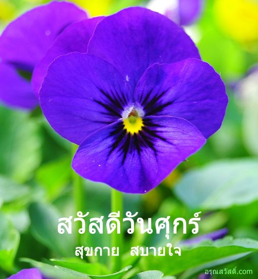 สวัสดีวันศุกร์