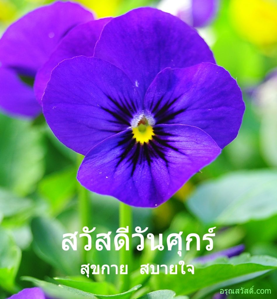 สวัสดีวันศุกร์
