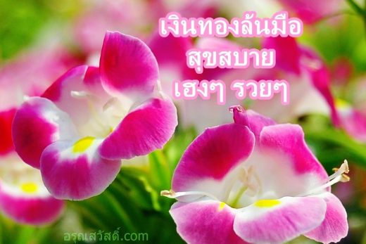 สวัสดีวันอังคาร