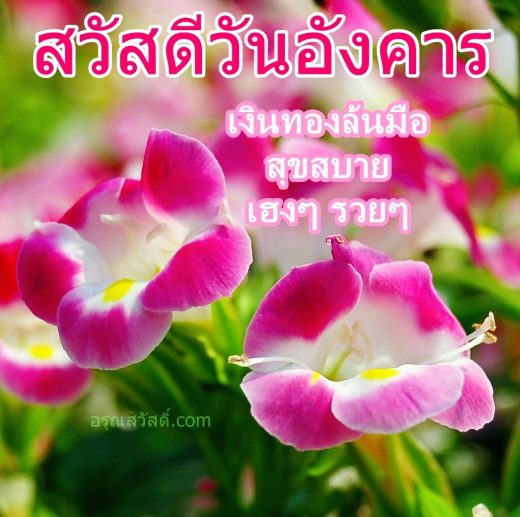สวัสดีวันอังคาร
