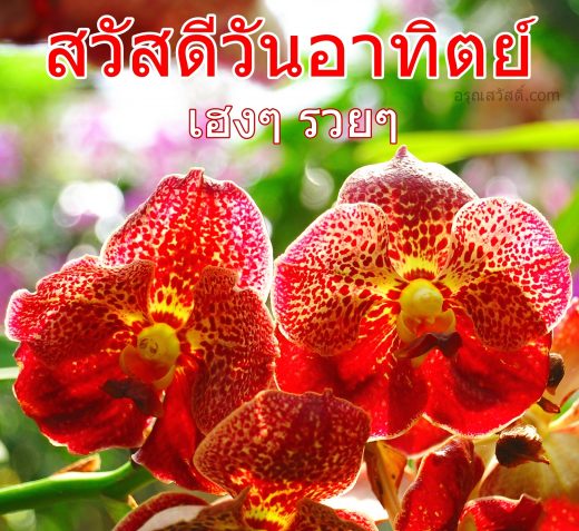 สวัสดีวันทิตย์