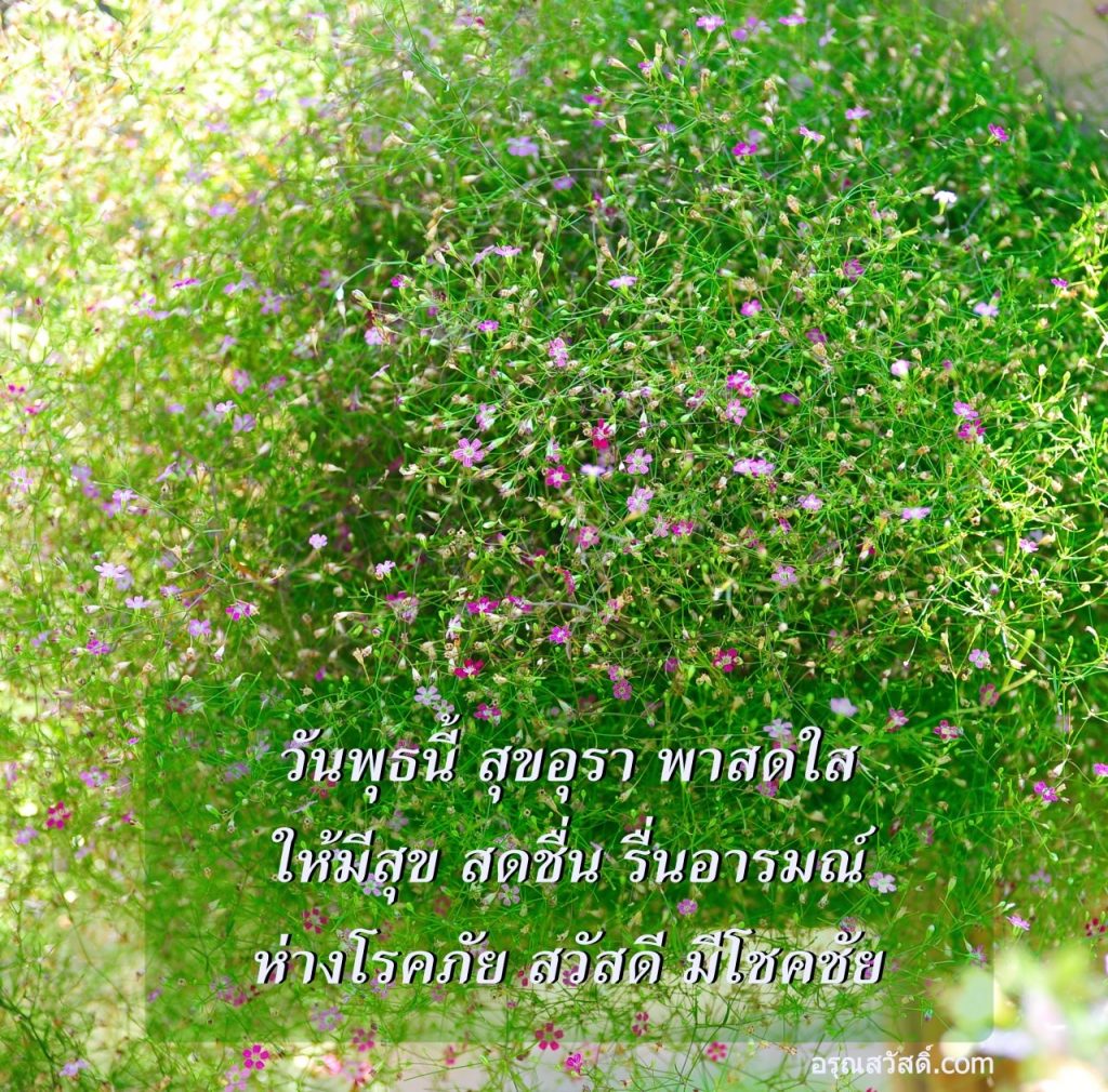 สวัสดีวันพุธ