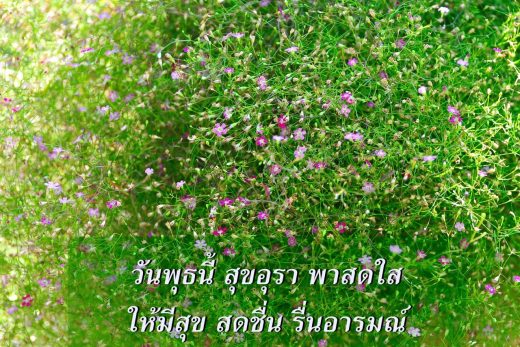 สวัสดีวันพุธ