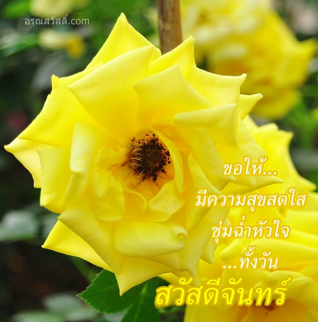 สวัสดีวันจันทร์