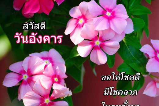 สวัสดีวันอังคาร