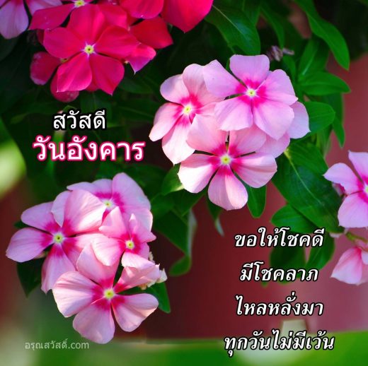 สวัสดีวันอังคาร