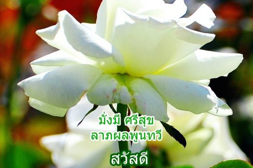 สวัสดีวันพุธ