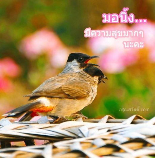 มอนิ่ง