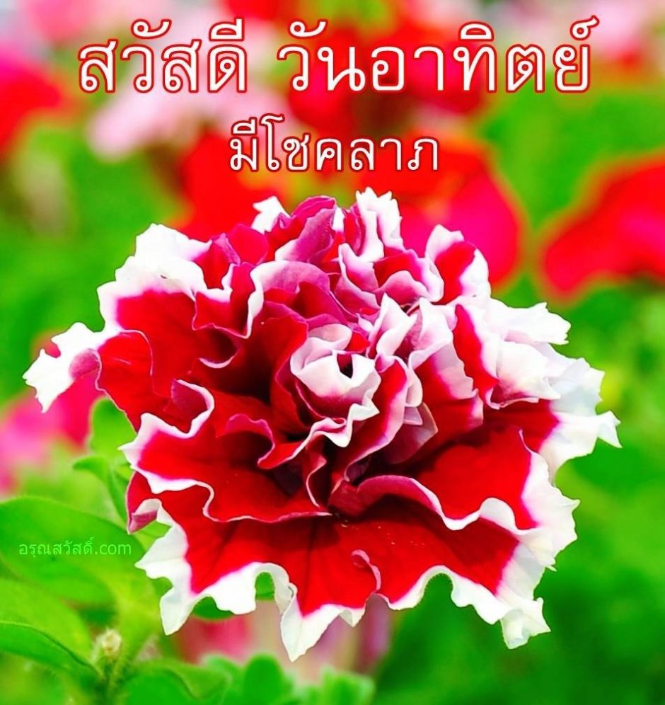 สวัสดีวันทิตย์