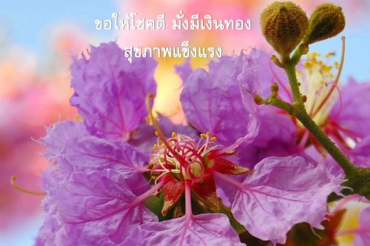 สวัสดีวันเสาร์